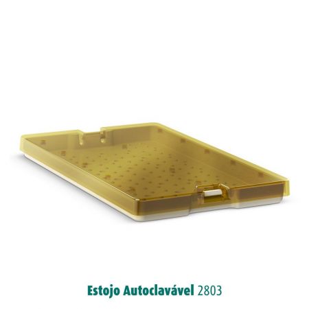 AUTOCLAVABLE CASE - MODEL 2803 - WITH SILICONE STRIPS - SMALL CAVITIES1 case 253X152X18mm+ 2 silicon
