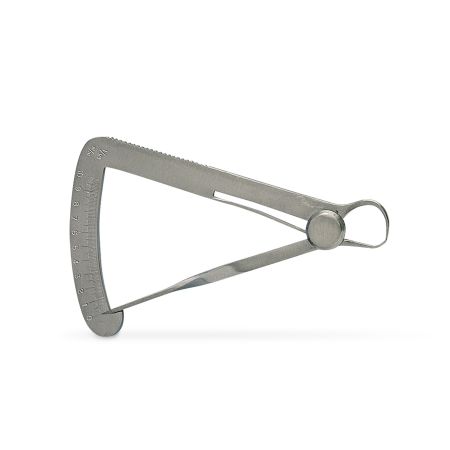 Caliper standard