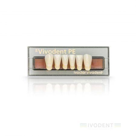 SR Vivodent PE Set of 6