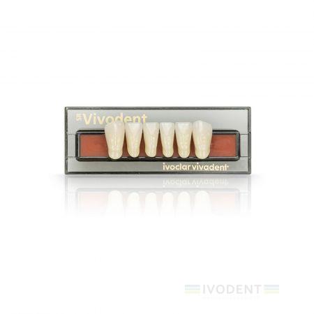 SR Vivodent Set of 6