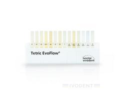 Tetric EvoFlow shade guide