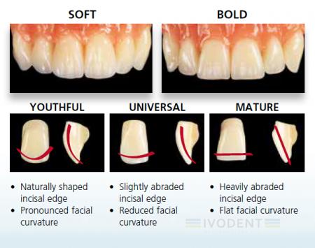 Liv Mould Chart Phonares Ant./ cust. A3