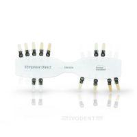 IPS Empress Direct Shade Guide Dentin