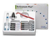 Te-Econom Plus Intro Pack 4x4g / A1