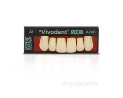 SR Vivodent S DCL set of 6